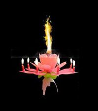 Zpívající narozeninová svíčka „Lotosový květ“